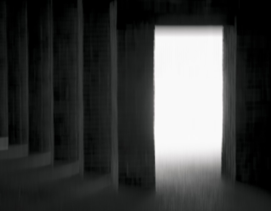 Miranda Schmitz: Mental mist